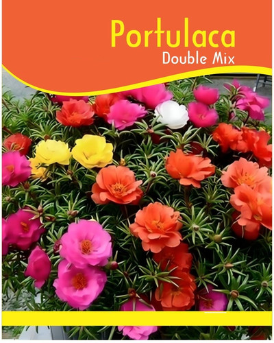 62 cca5c8992afb9f9a79843ef2dc4eba51 jpg.jpg