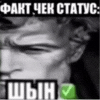 sedfefhsefs Copy.gif