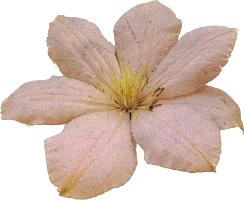 4jQJyfHa6P asdada (1) (1).webp