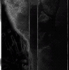 ewff.gif
