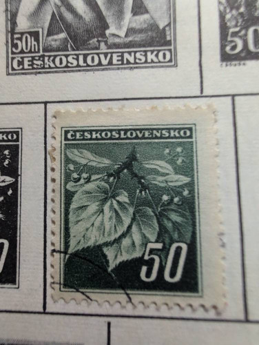 33d655ee9984.jpg
