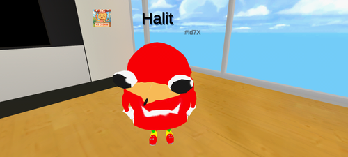 imagen.png