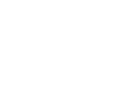 tr logo final.png