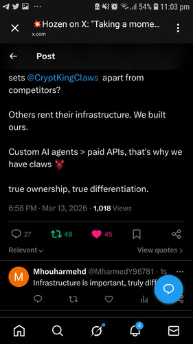 Screenshot 20260313 230357 Chrome.jpg