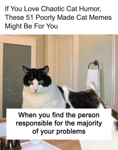 Community Share 2.jpg