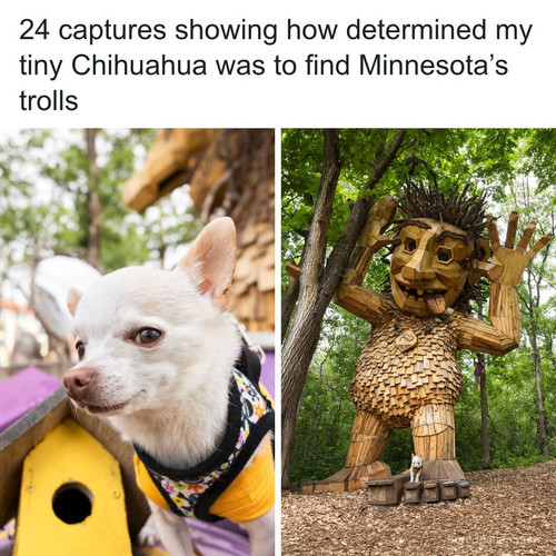 adorably cute chihuahua and trolls by lisagodfrey.jpg