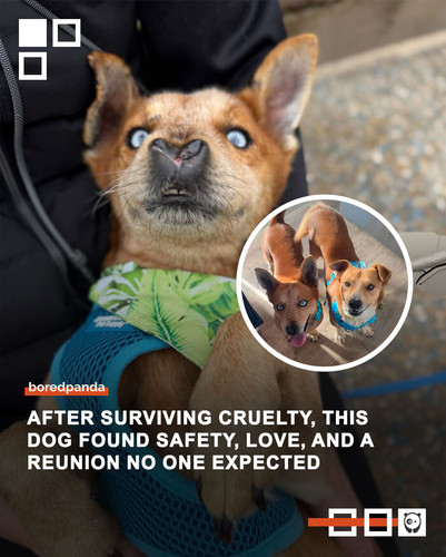 Community Share 2 (1).jpg