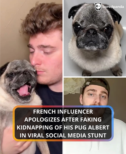 Copy of FB Native Template v2 (2).png