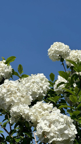 image.2