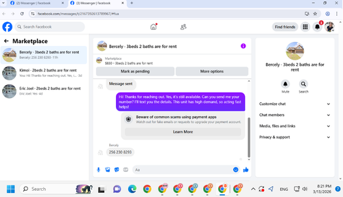 Screenshot 2026 03 13 202149.2