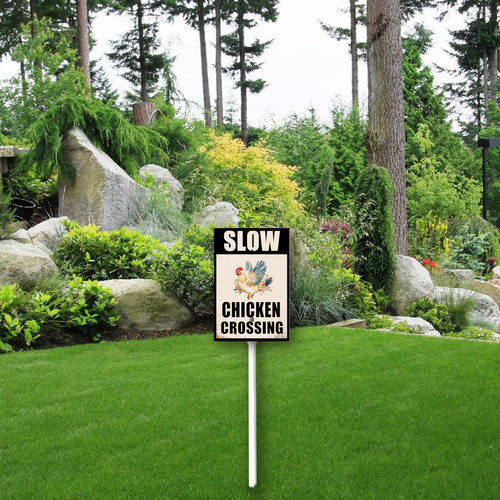 slow chichen crossing 1.jpg