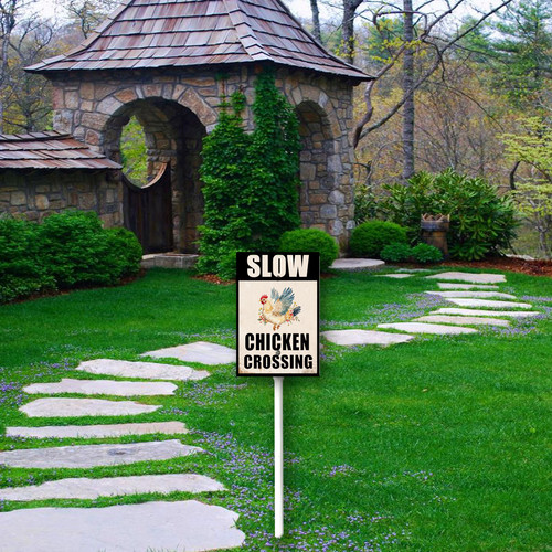 slow chichen crossing 2.jpg
