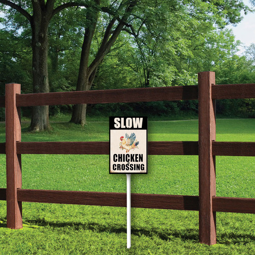 slow chichen crossing 3.jpg