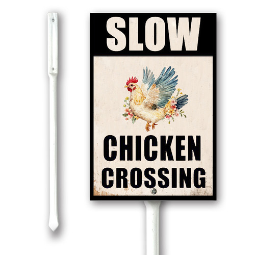 slow chichen crossing.jpg