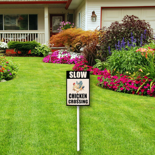 slow chichen crossing 4.jpg