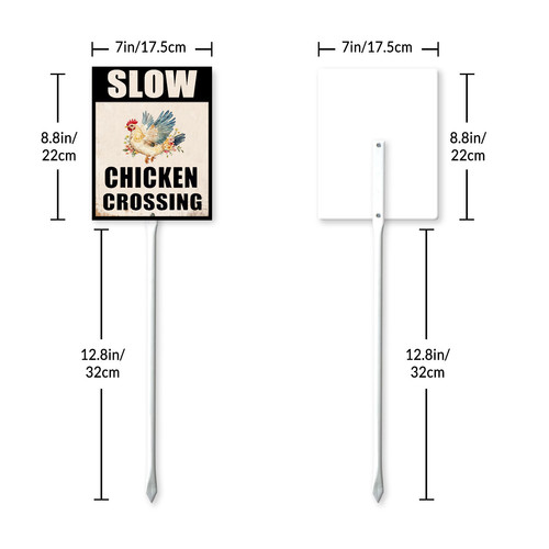 slow chichen crossing 7.jpg