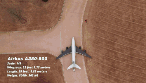 ezgif.com video to gif converter.gif