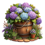 Hydrangea Elegance Element (55)