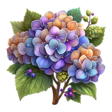 Hydrangea Elegance Element (10)