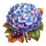 Hydrangea Elegance Element (16)
