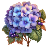 Hydrangea Elegance Element (14)