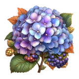 Hydrangea Elegance Element (11)