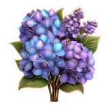 Hydrangea Elegance Element (2)