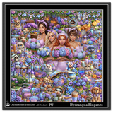 Hydrangea Elegance 1