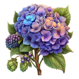 Hydrangea Elegance Element (9)