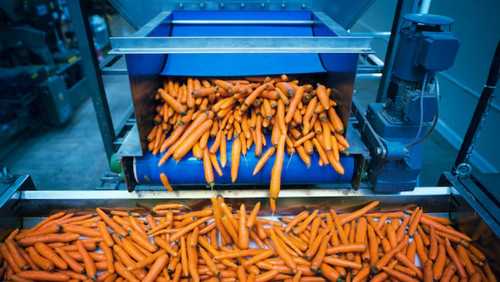 Keep Industrial Food Processing Machines Running Longer.jpg