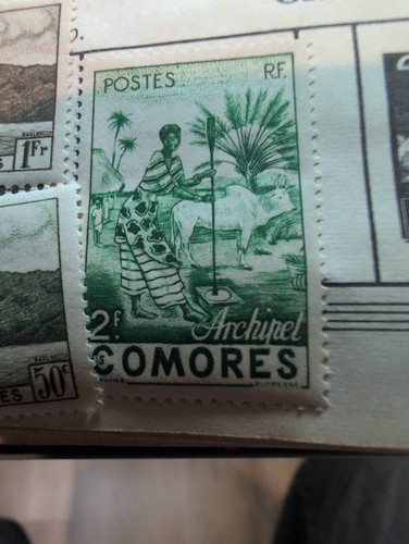 4ec6e86877d9.jpg