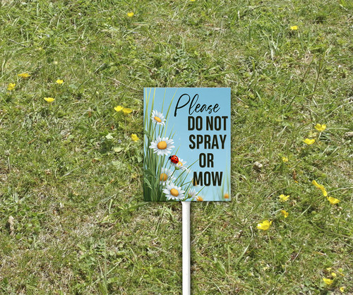 P 2 44.jpg