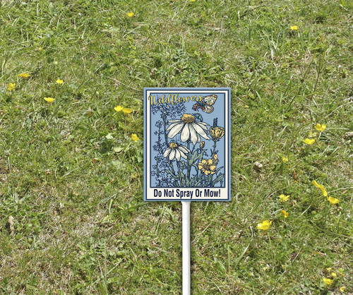 P 2 13.jpg