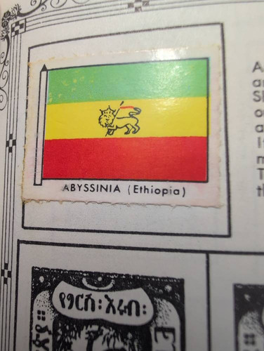 14b5aa2e7e26.jpg