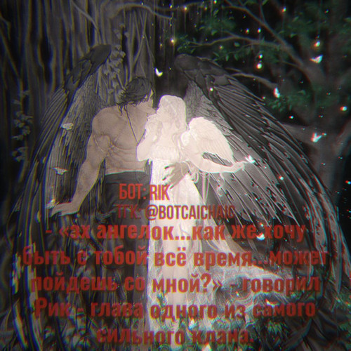file 24017.jpg