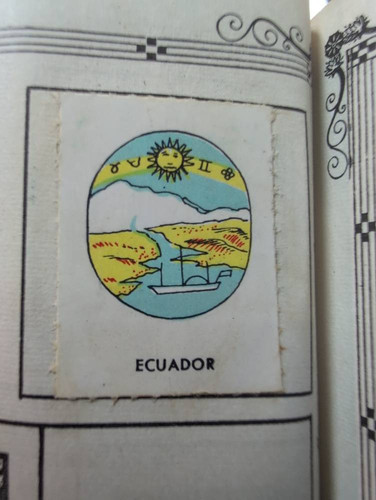 c8d641fd8326.jpg