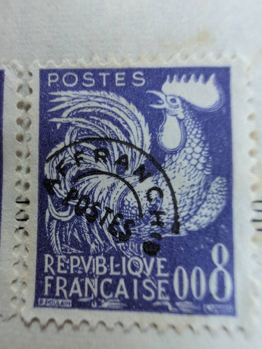 d3d6bf145a66.jpg