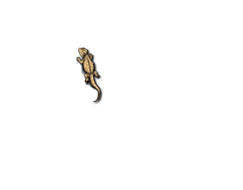 Adult M.png