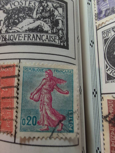 7bdc01539513.jpg