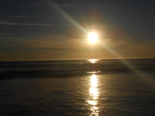DSCN0669.jpg