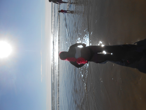 DSCN0595.jpg