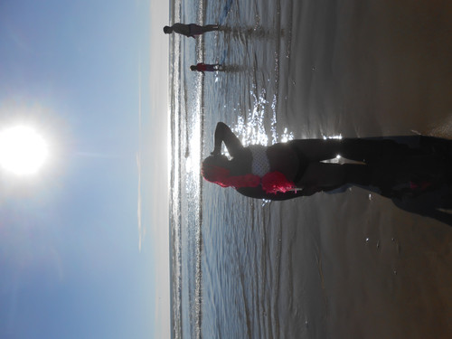 DSCN0596.jpg