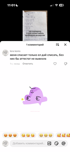 IMG 4840.png