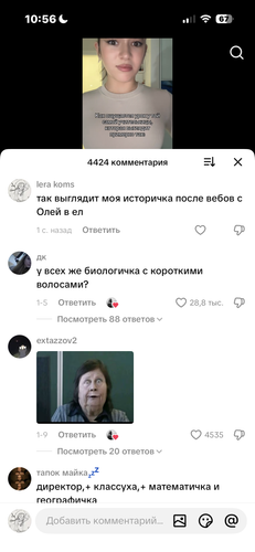 IMG 4831.png