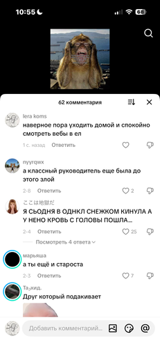 IMG 4830.png