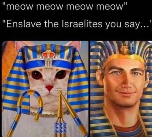 MeowMeowJews.jpg
