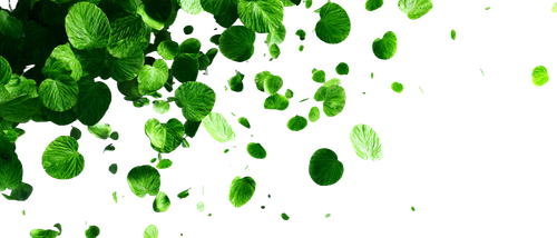 a30d80a2a3b2.png