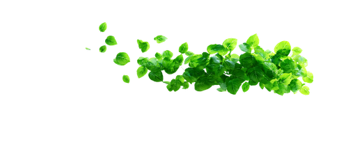 85c6d951eb68.png