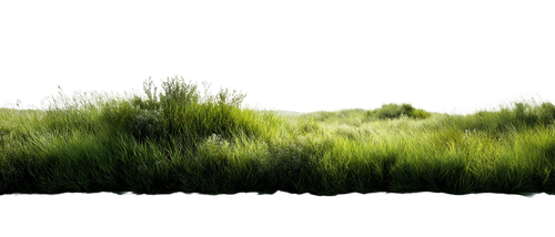 dc6843882a01.png
