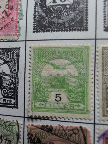 444e53312079.jpg